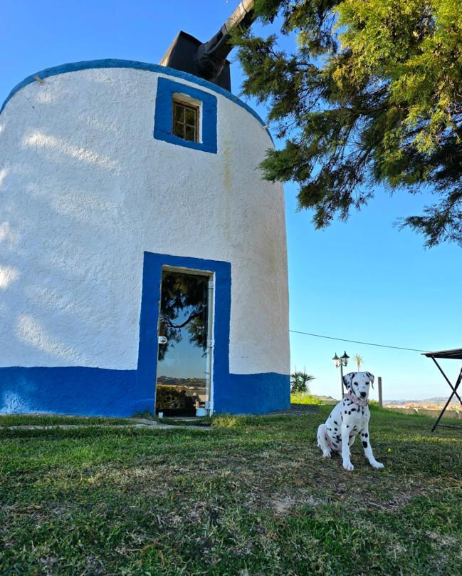 Вилла Casal Do Moinho Enxara do Bispo Экстерьер фото